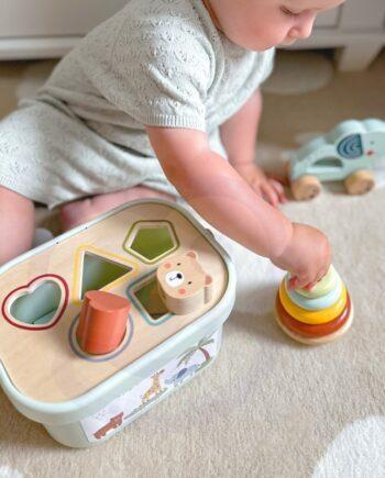 3in1 mängukarp – sorteerimisklotsid, püramiid ja elevant ratastel