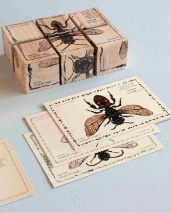 Puidust klotsikomplekt Bee Life – Mesilased