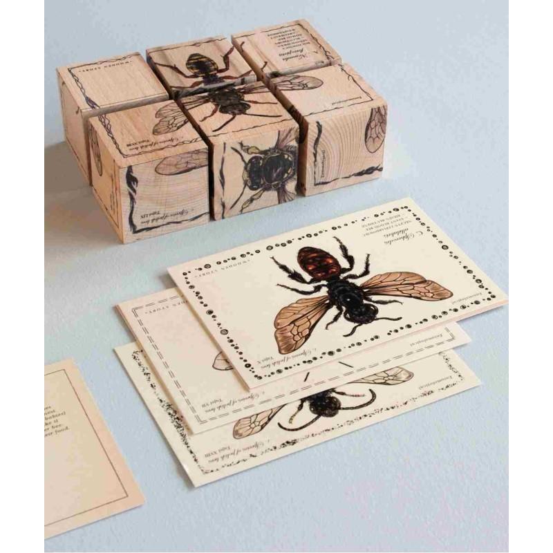 Puidust klotsikomplekt Bee Life – Mesilased