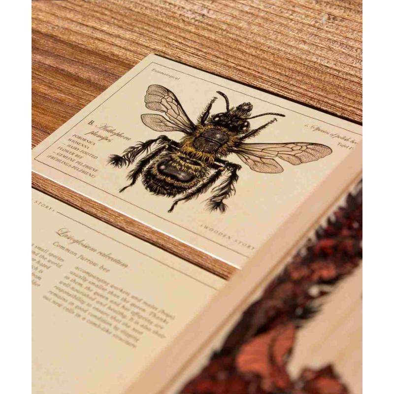 Puidust klotsikomplekt Bee Life – Mesilased