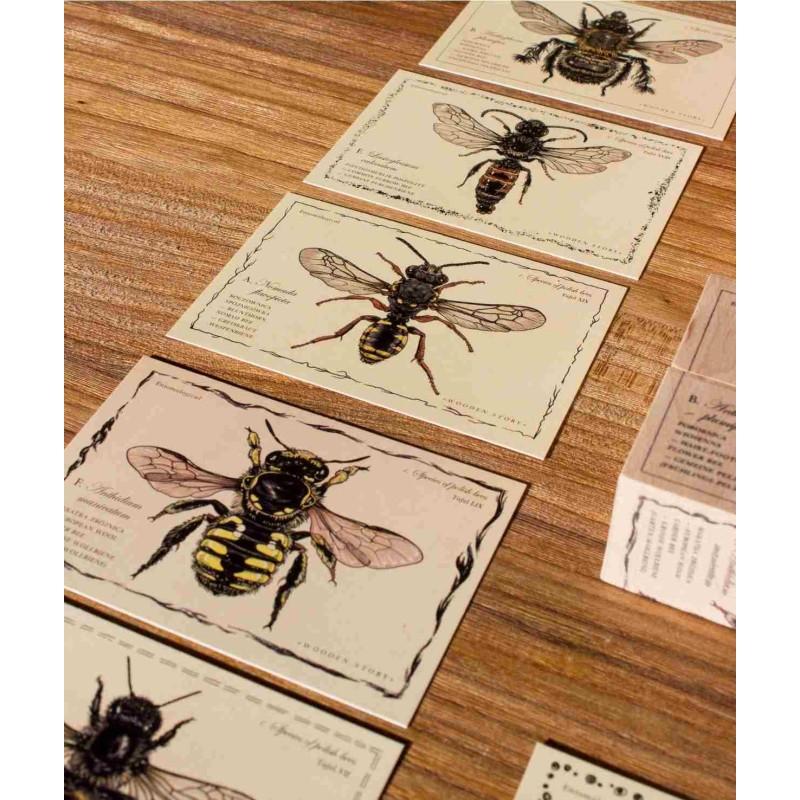 Puidust klotsikomplekt Bee Life – Mesilased